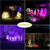 imageVOLISUN Halloween Color Changing Spotlights Plug in Spot LightRGB Landscape Lighting16 Multicolored Waterproof IP65Halloween Outdoor Spotlights for TreesYardHouseFlags2Packs2 pack