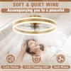 imageVOLISUN Low Profile Ceiling Fans with Lights and Remote 197in Flush Mount Ceiling Fans with Light 3000K6500K Dimmable Fandelier LED Fan Light White Bladeless Ceiling Fans with Lights for BedroomGold
