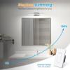 imageVOLISUN Modern Bathroom Vanity Light 157 inch Rotatable 12W Dimmable 5CCT Led Bathroom Light Fixture Over Mirror Black Bar Vanity Light for Bathroom Mirror RestroomETL CertificatedChrome