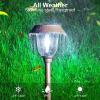 imageVOLISUN Solar Pathway Lights Outdoor 25 Lumens 6Pack 5000K Daylight IP65 Metal and Glass Solar Garden Lights Landscape Pathway Light for Walkway Driveway