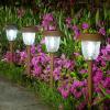 imageVOLISUN Solar Pathway Lights Outdoor 25 Lumens 6Pack 5000K Daylight IP65 Metal and Glass Solar Garden Lights Landscape Pathway Light for Walkway Driveway