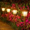 imageVOLISUN Solar Pathway Lights Outdoor25 Lumens 4Pack Solar Outdoor Light 3000K Warm White IP65 Metal and Glass Solar Garden Light Landscape Pathway Light for Walkway DrivewayAdjustable Brightness