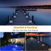 imageVOLISUN Solar Driveway Lights Dock Deck Light 8Pack2 Colors in 1Solar Powered 1200mAh BatteryWaterproof Outdoor Warning Step Light for Driveway 2 Colors LightingWhiteWarm WhiteWhite and Warm White