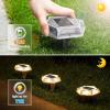 imageVOLISUN Solar Driveway Markers LightsOutdoor Heavy Duty Dock Light12 Pack Waterproof Deck LightsDurable Powered Solar Pathway Light for Sidewalk Step Garden and Pool Warning Signs WhiteBlueWhiteWarm White