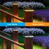 imageVOLISUN Solar Post Cap Lights Color Changing Outdoor Waterproof RGB Modes Fence Post Cap Lights 12 Pack for 4x4 x5 x6 WoodenVinylBlackBlack