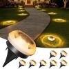 image:imageVOLISUN Mini Solar Pathway Lights Outdoor12 Pack Flat Solar Ground LightsIP65 Waterproof Solar Powered Disc LightsLandscape Lighting for Garden Yard Walkway Luces Patio DrivewayCool WhiteWarm White